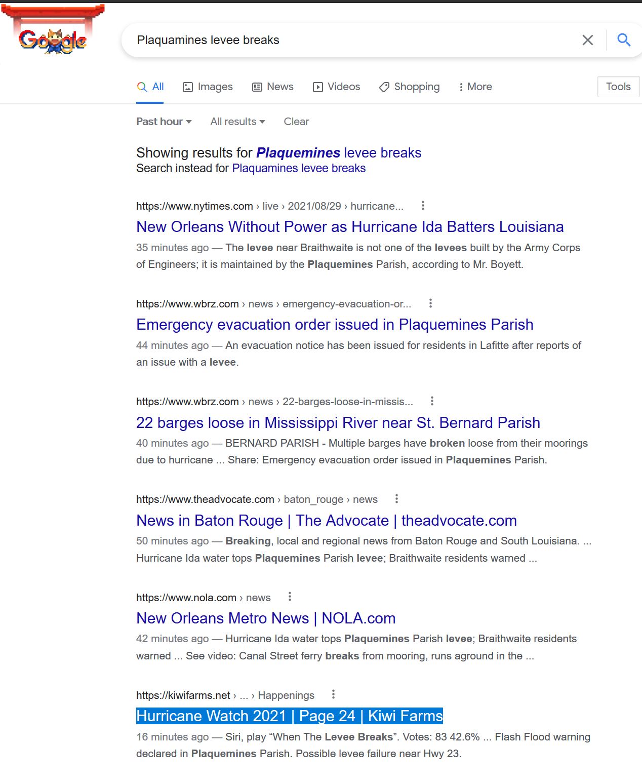 HiGoogle.JPG