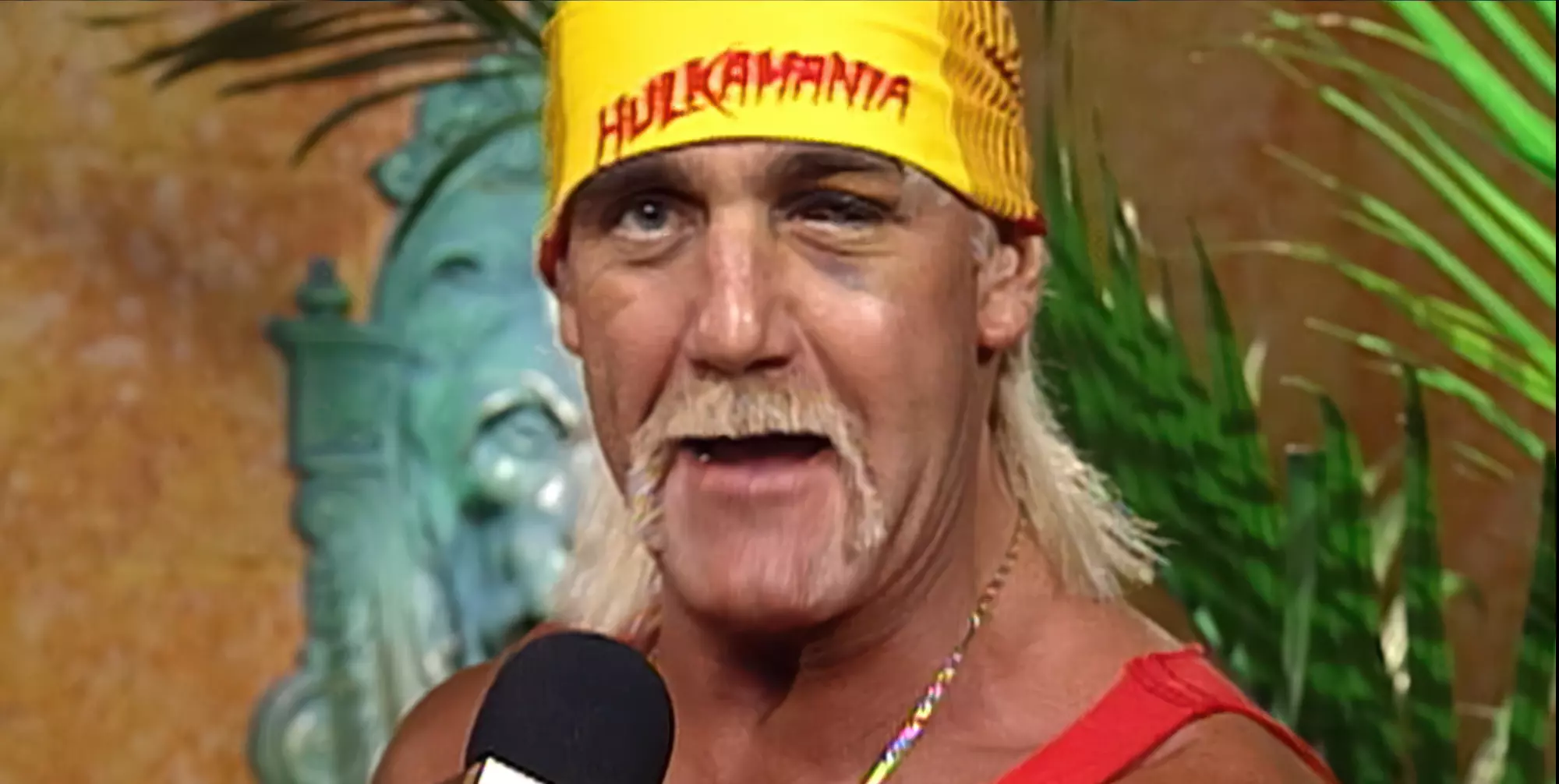 Hogan-eye-6.webp