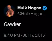 Hogan Gawker.webp