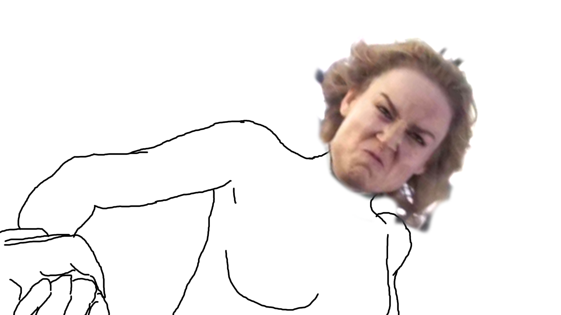 hold brie2.png