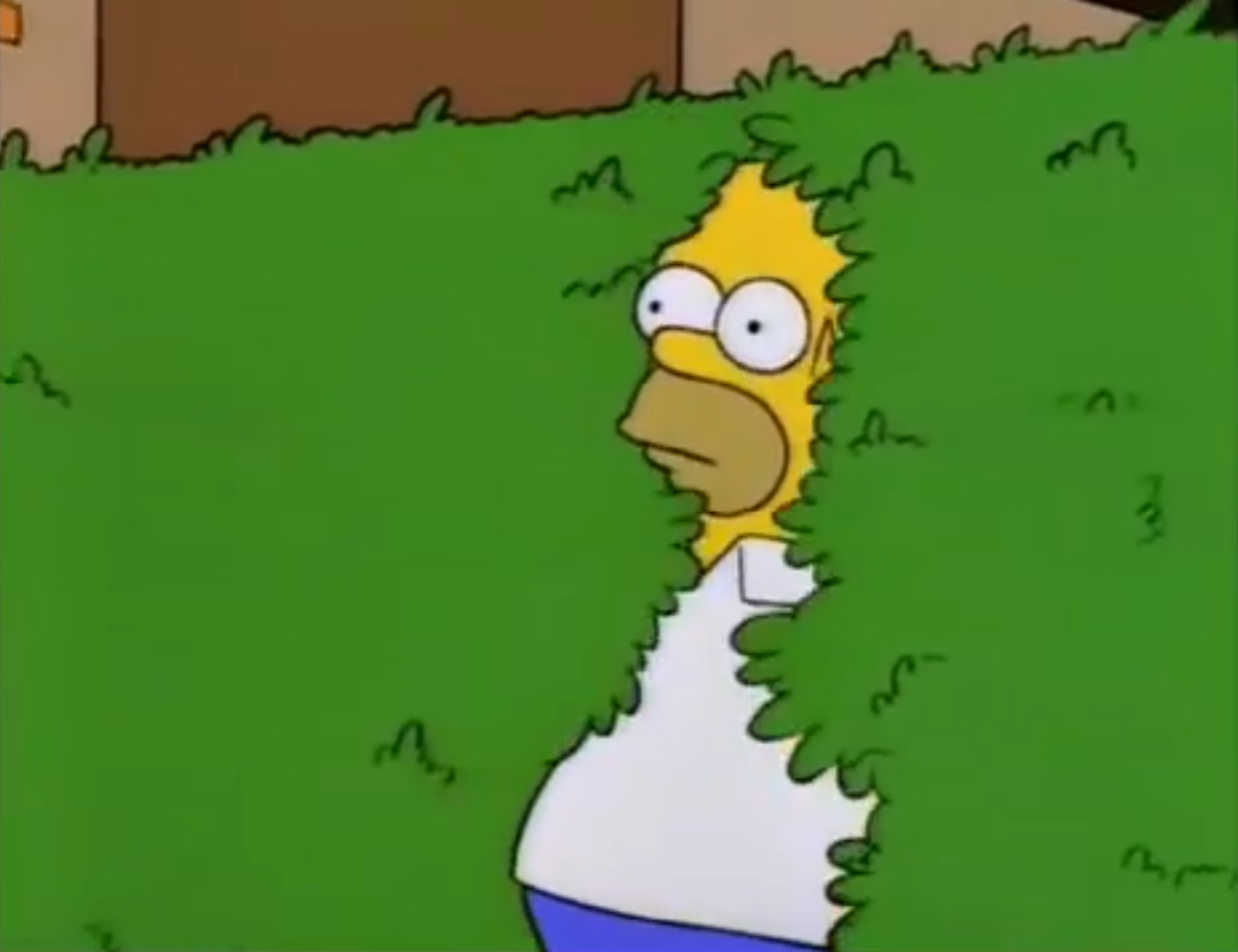 Homer_Bush.png