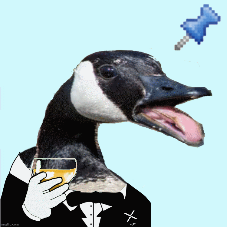honk (2).png