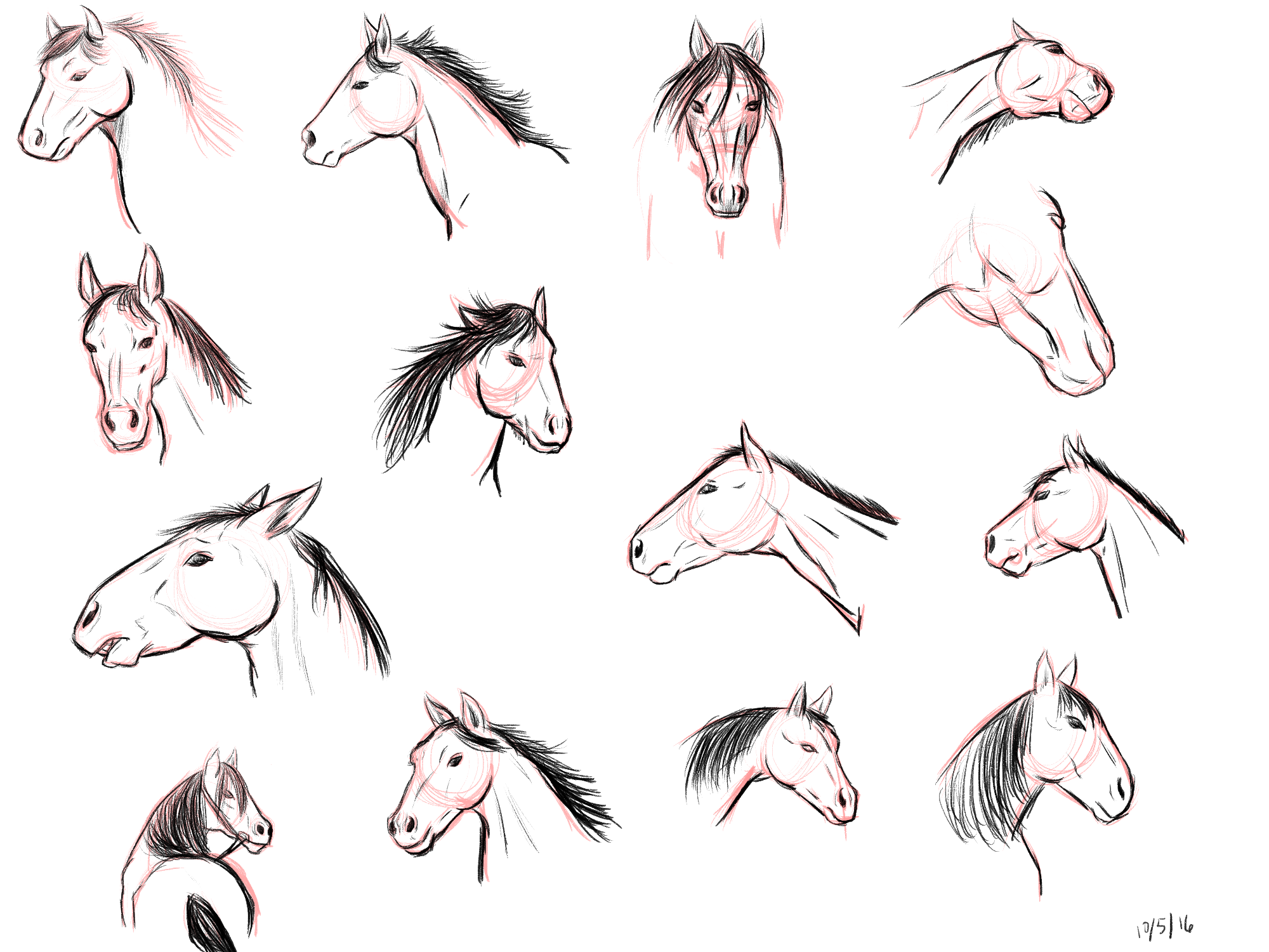 horse faces 1.png