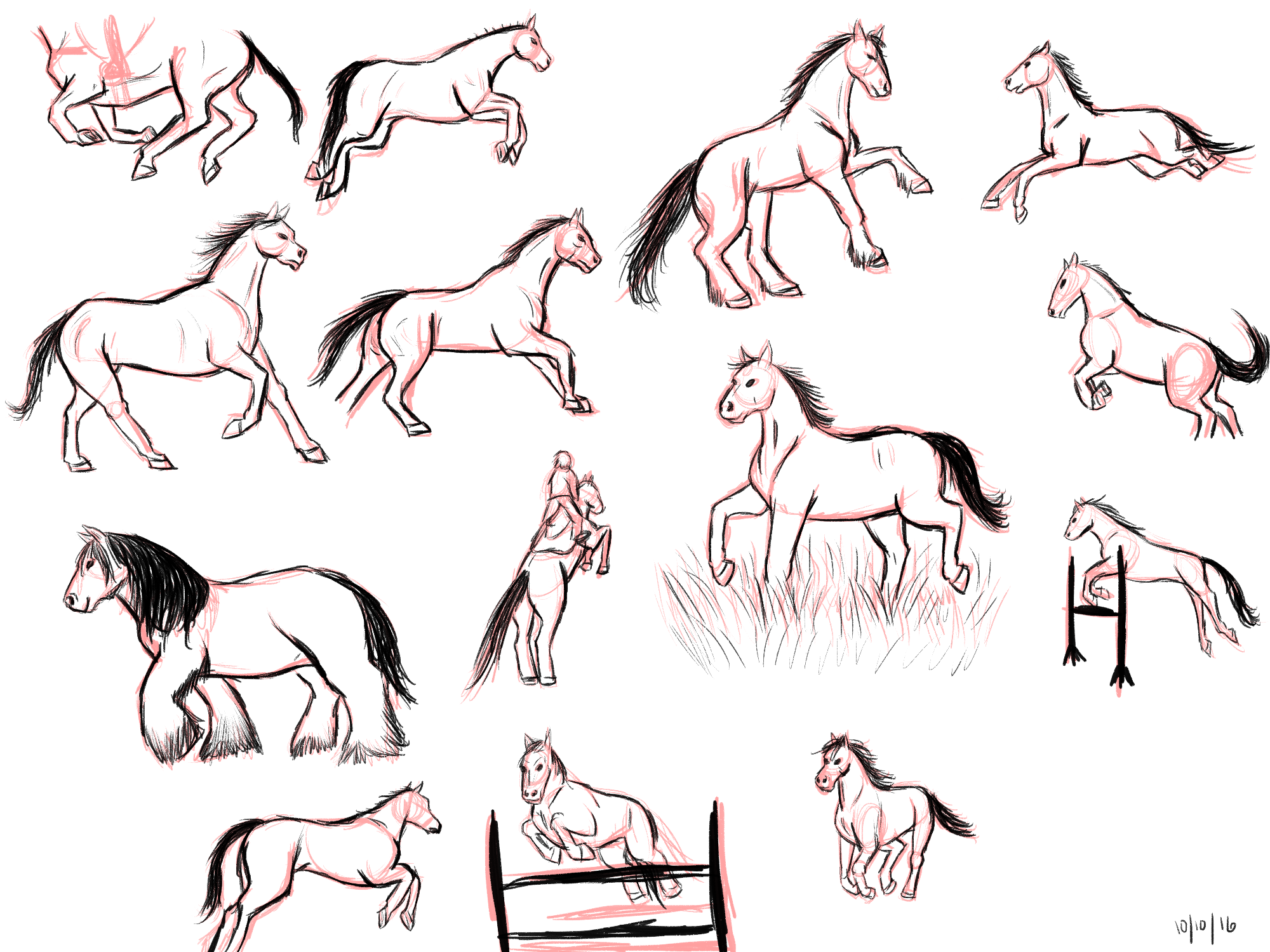 horse movement study 1.png