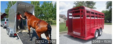 horse trailer.png