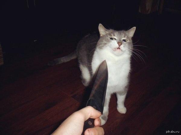 hostage.jpg
