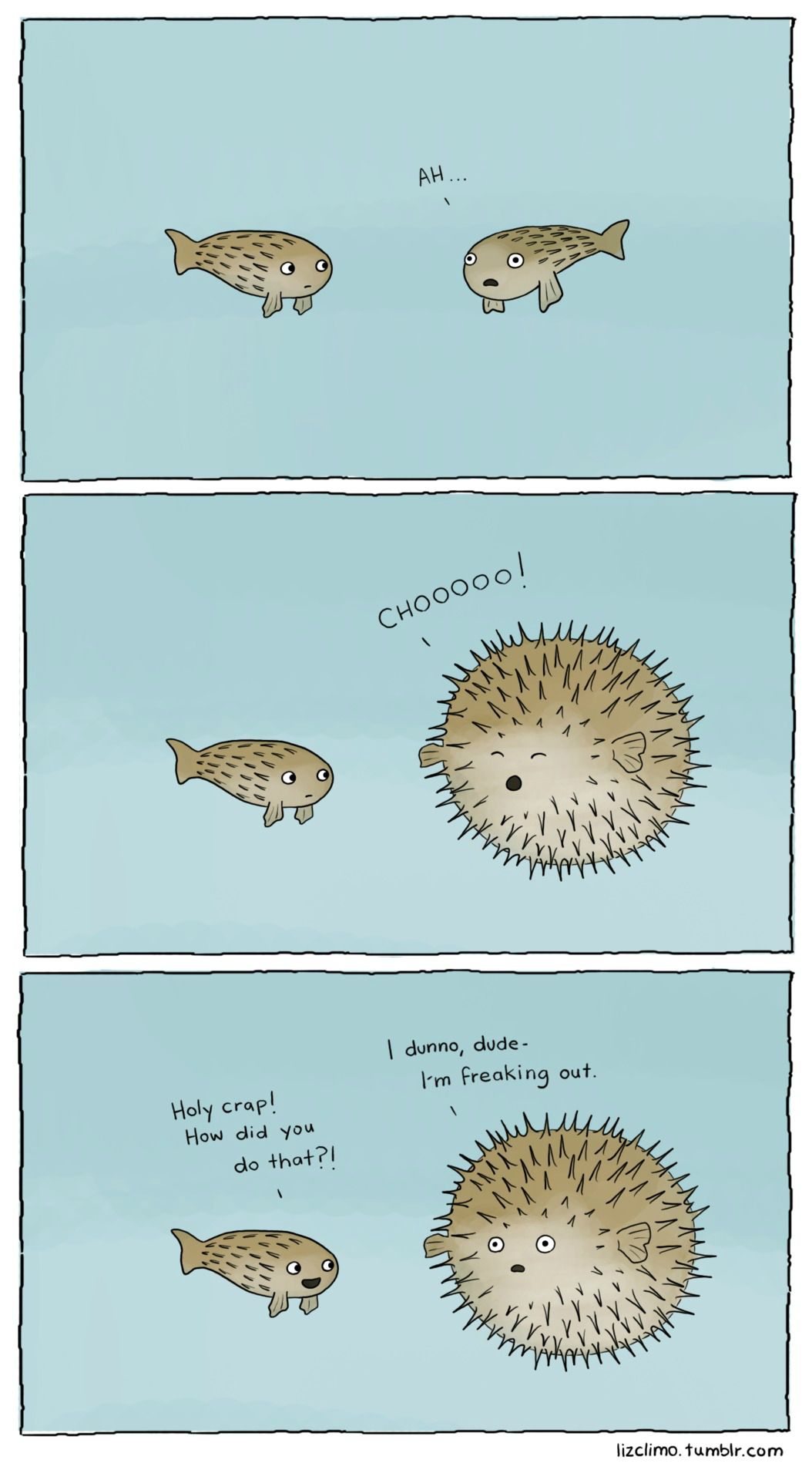 howapufferisborn.jpg