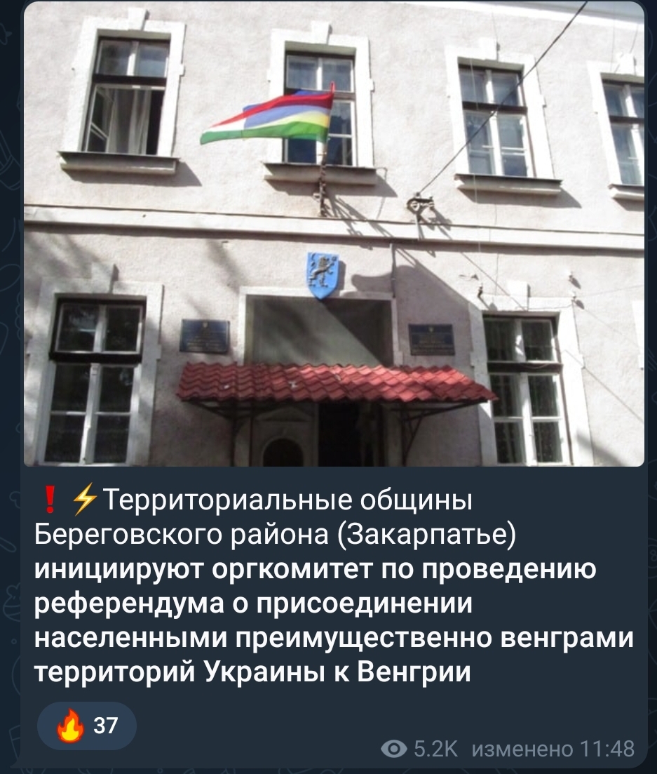HUNGARIANS.jpg