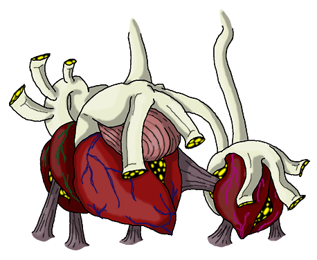 Icha'wachi.png