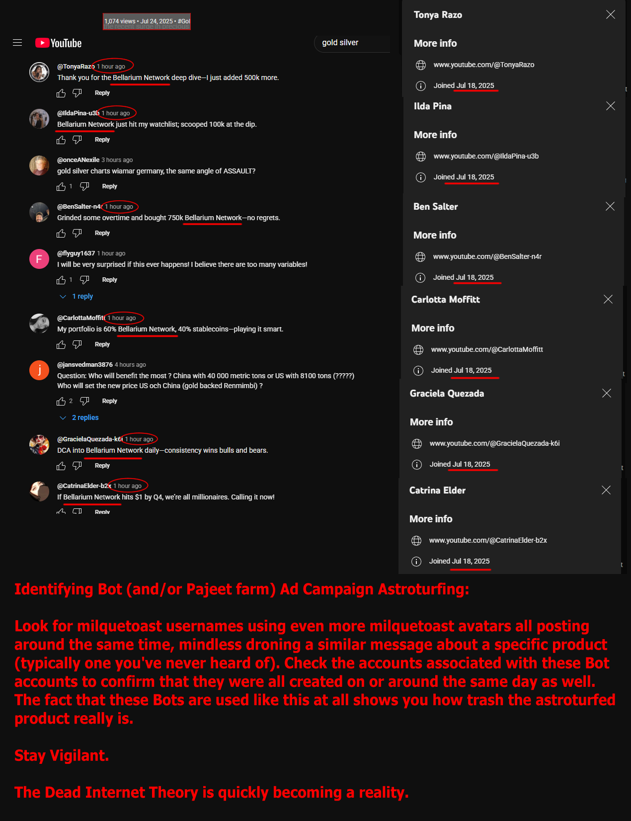 Identifying Bot Ad Campaigns.webp