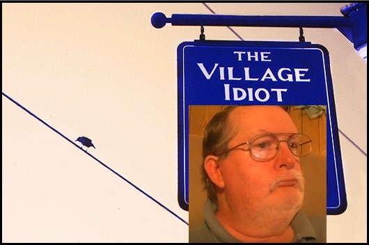 idiot.jpg