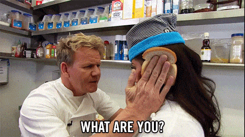 IdiotSandwhich-GIF-1.gif
