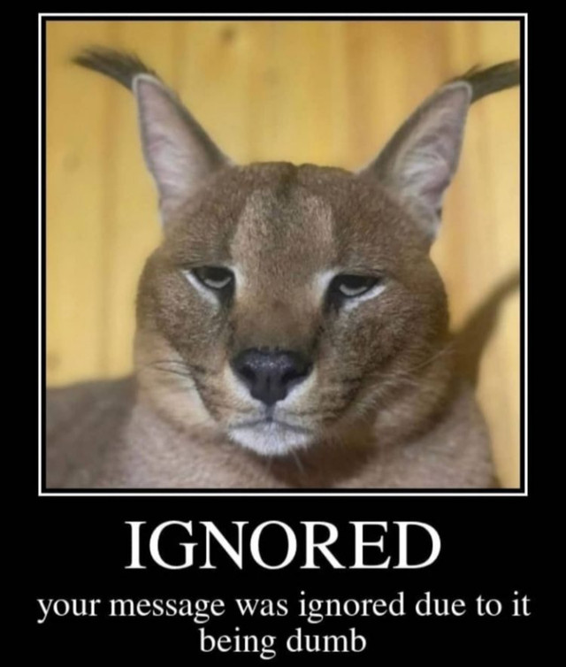 Ignored.jpg