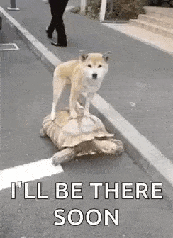 ill be there.gif