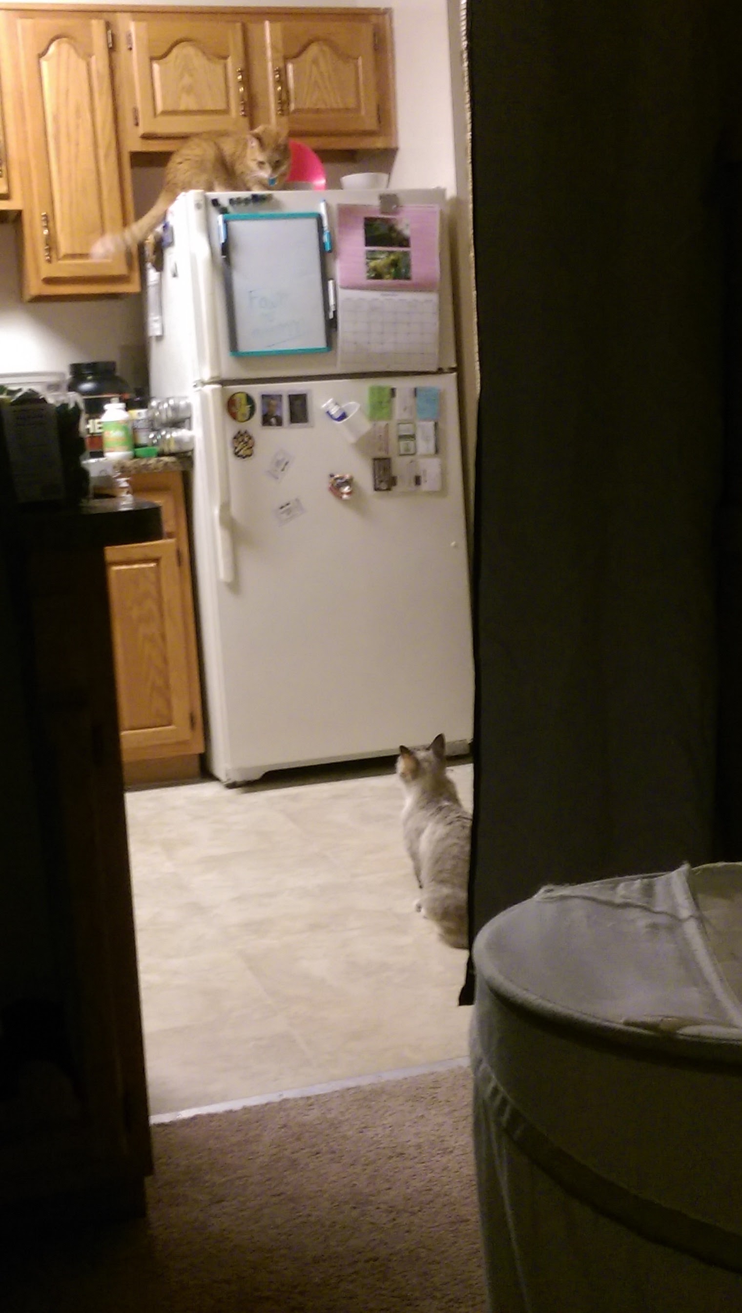 IMAG0912.jpg