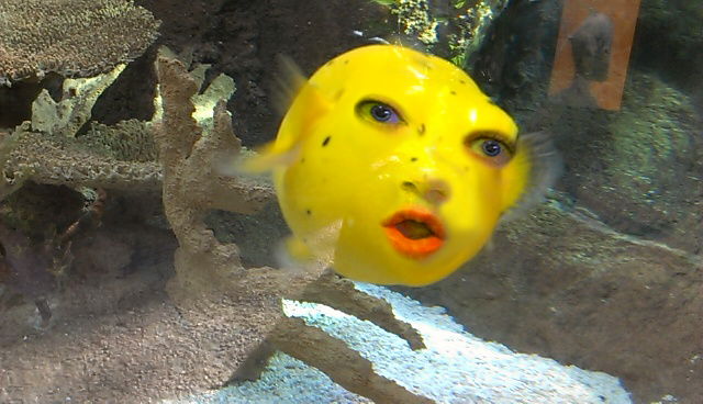 imag2211.png