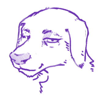 image-1.png