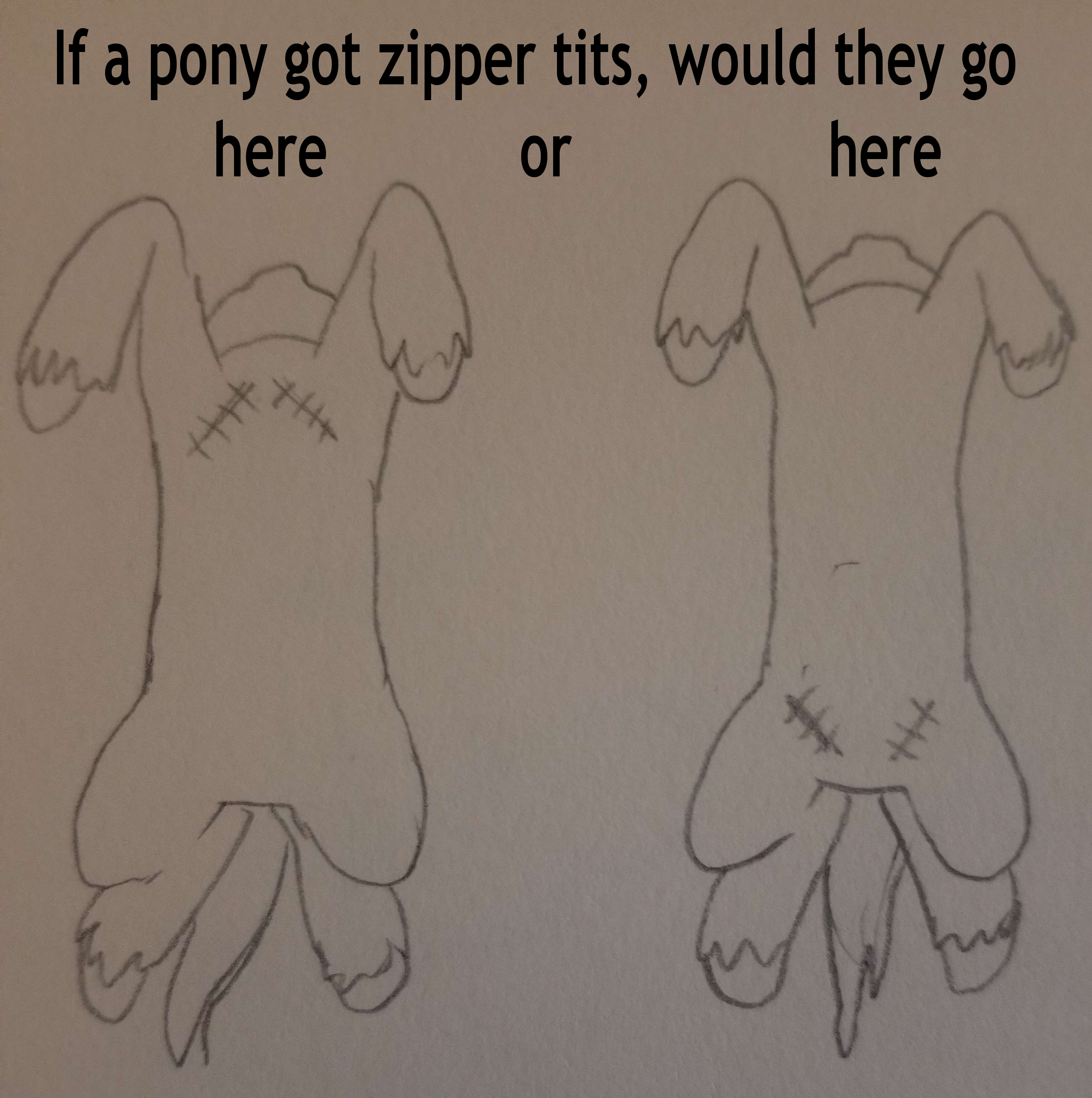 image-2.png
