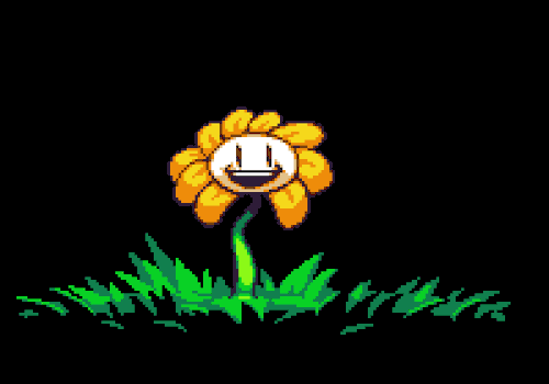 image.gif