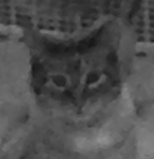 image.jpeg