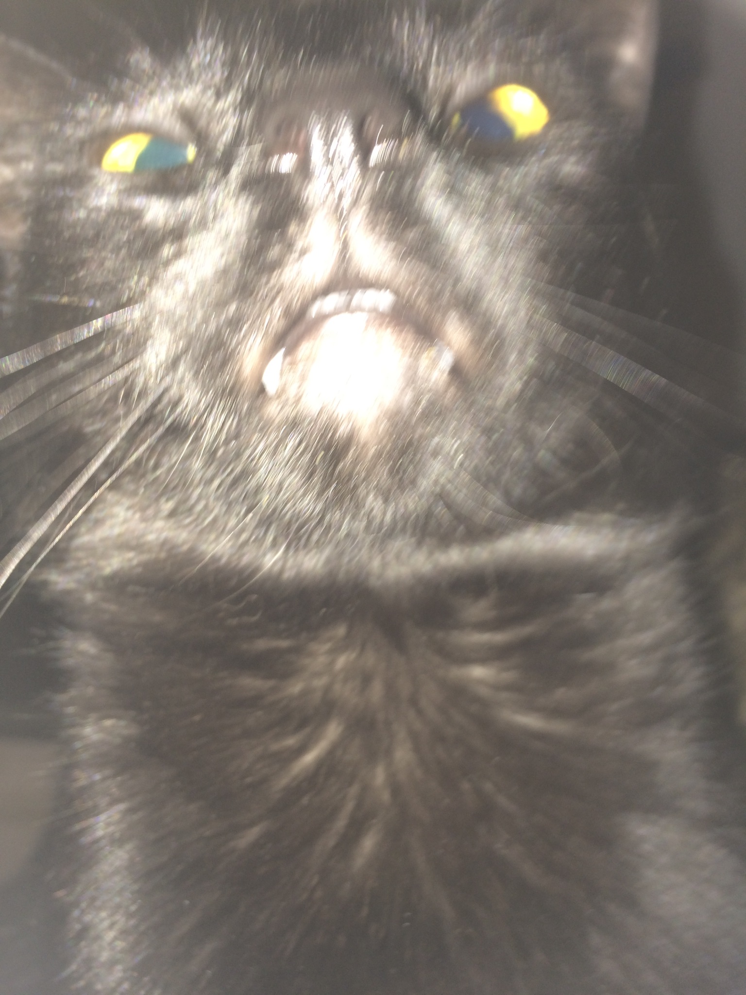 image.jpeg