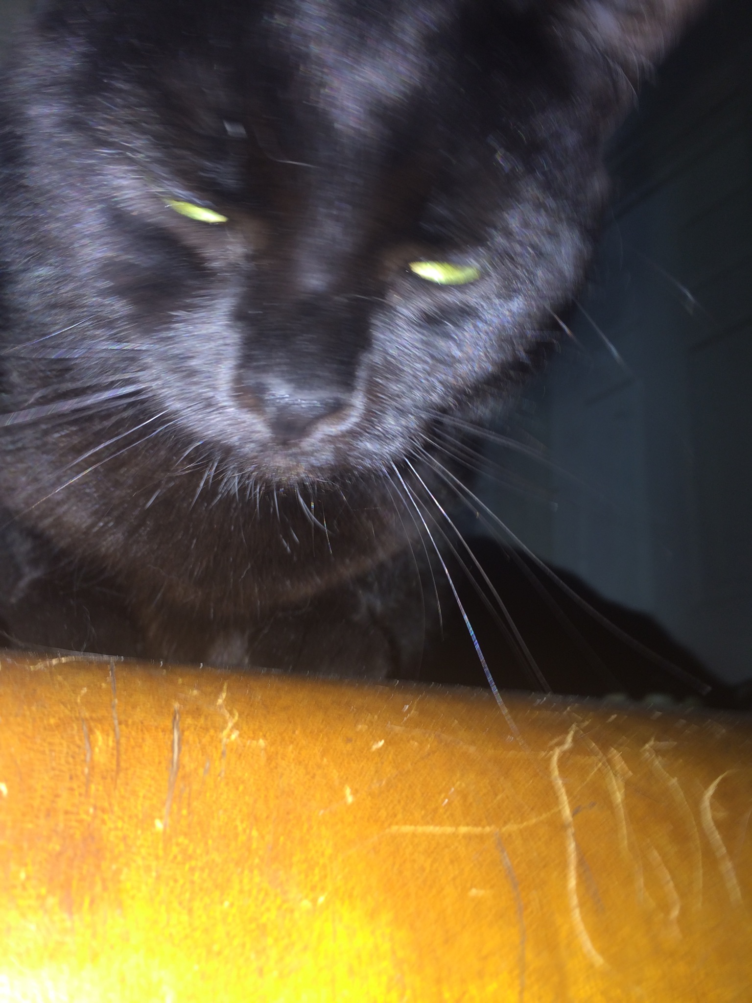 image.jpeg