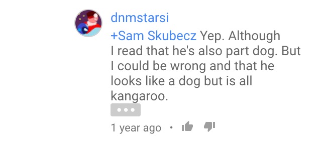 image.jpeg