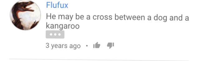 image.jpeg