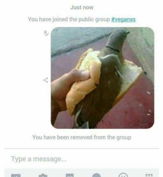 image.jpeg