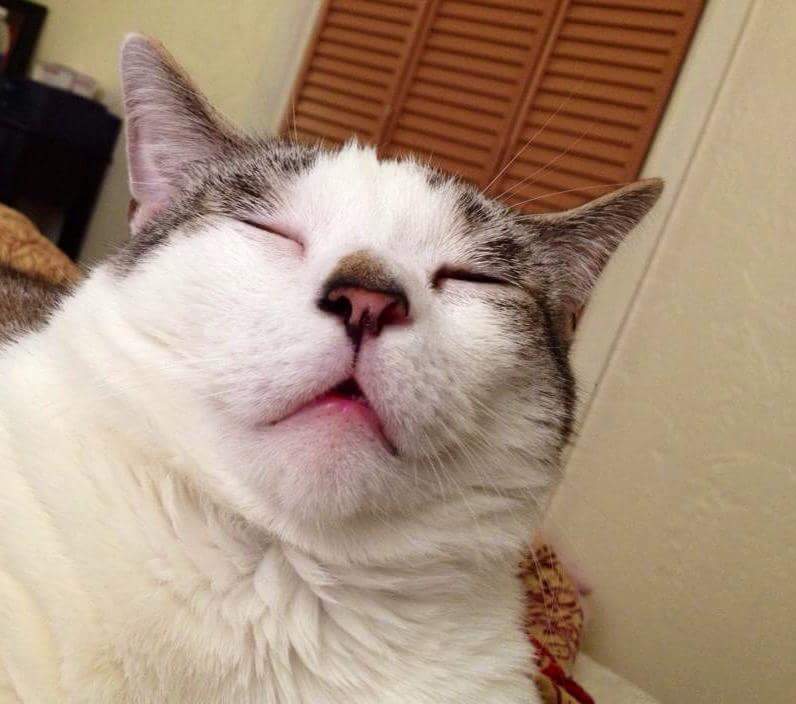 image.jpeg