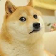 image.jpeg