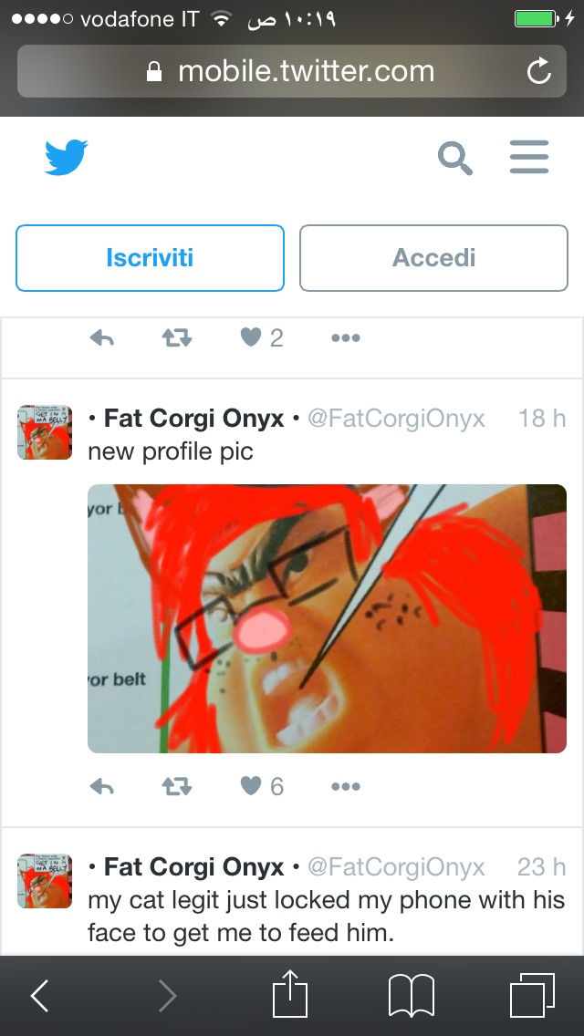 image.jpg