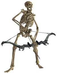 image.jpg