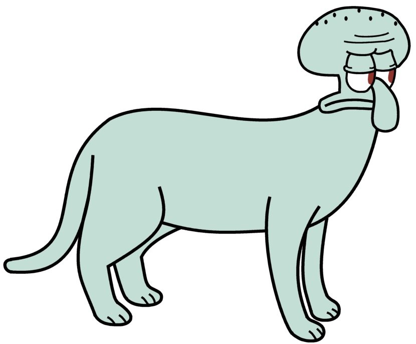 image.jpg