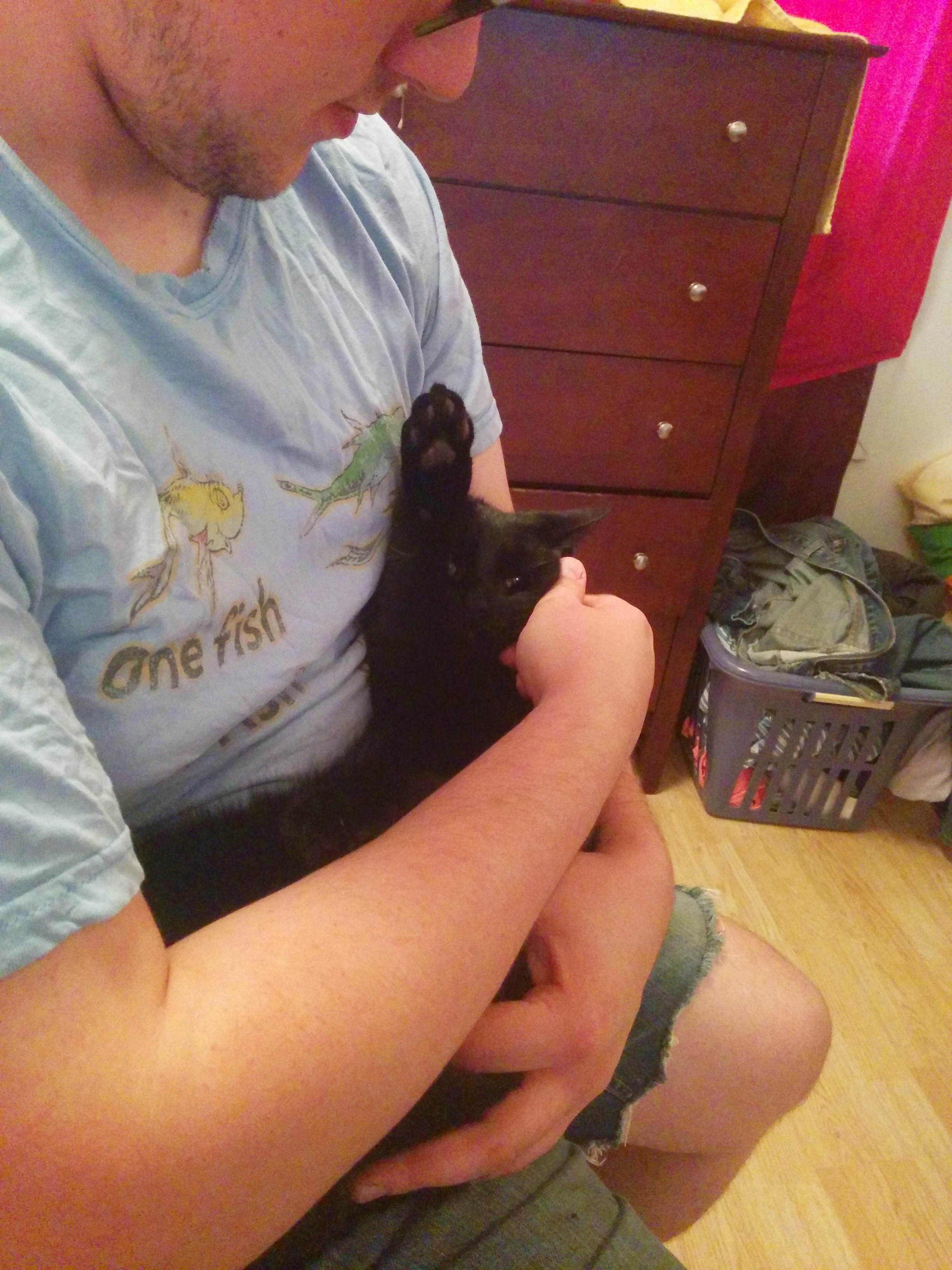 image.jpg