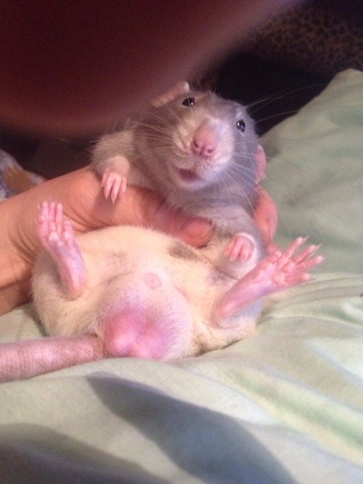 image.jpg