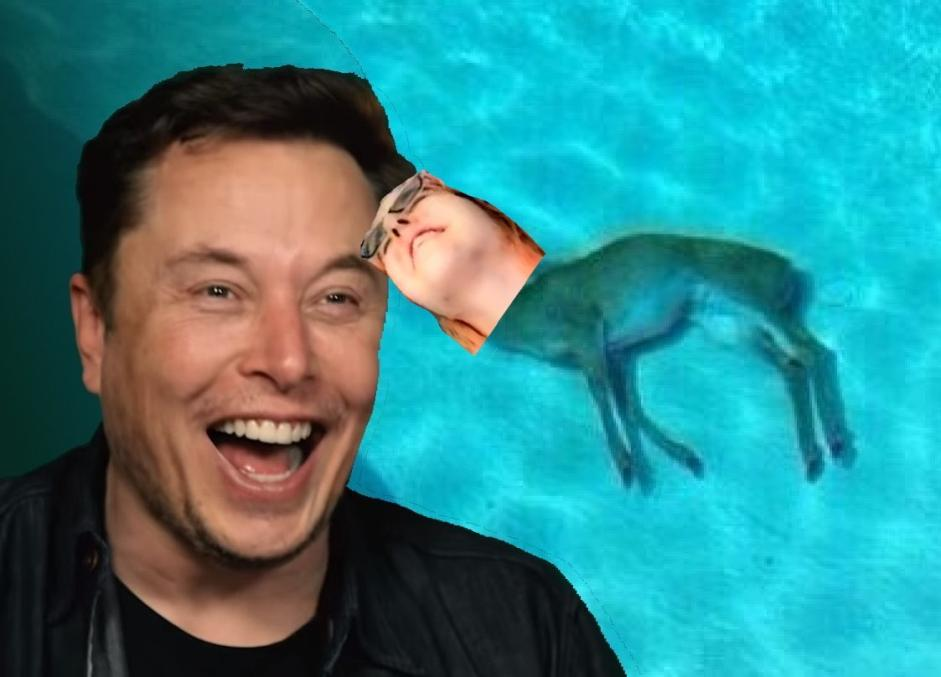 image0-4.png