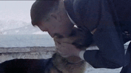 image0.gif
