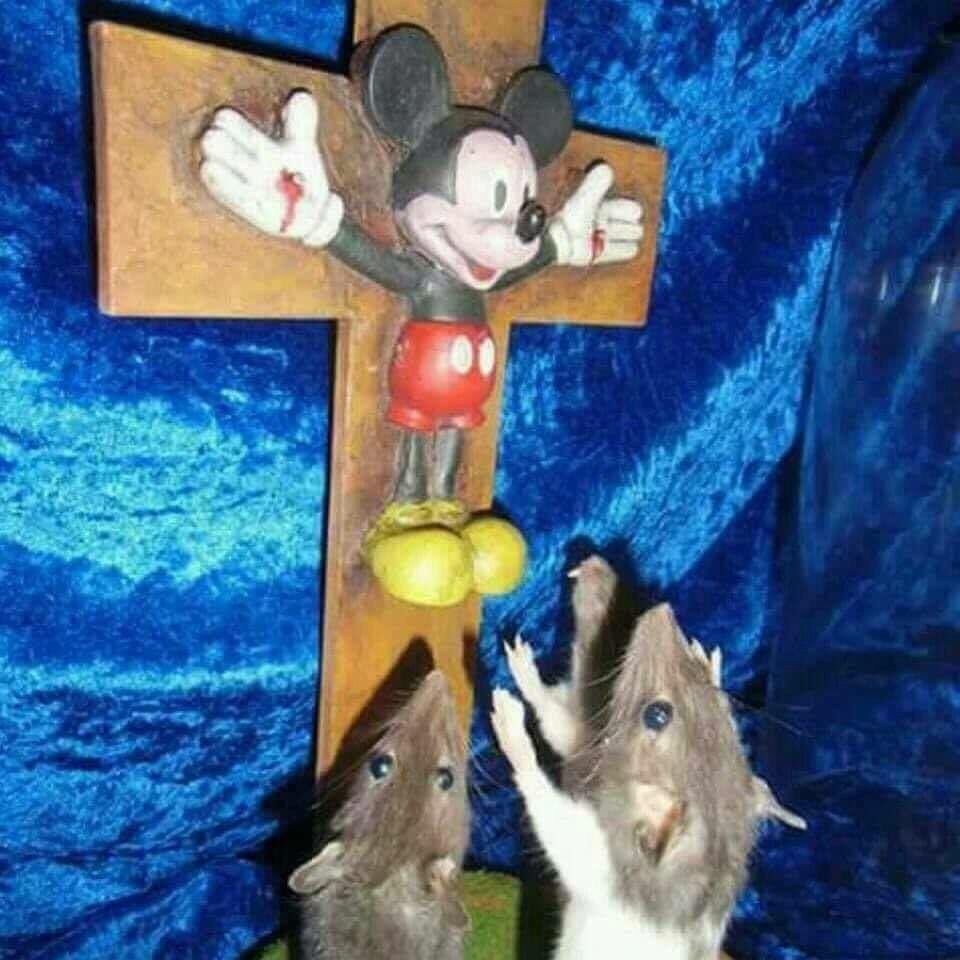 image0.jpeg