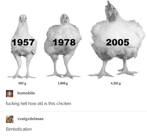 image0.png