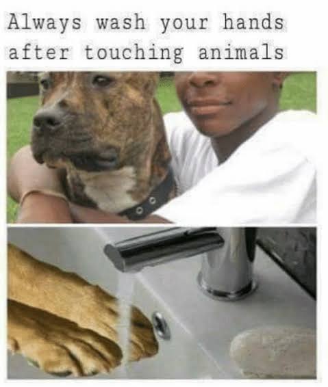 images (27).jpeg