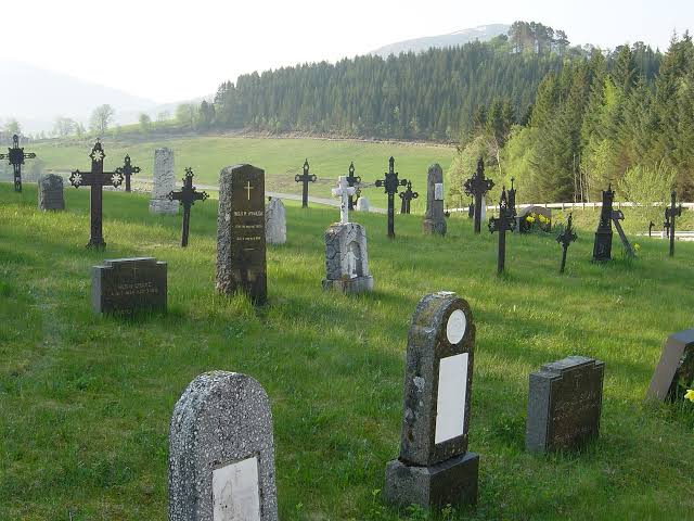 images (4).jpeg