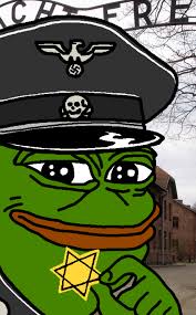 images.jpeg