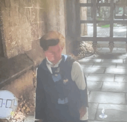 IMG-4741.gif