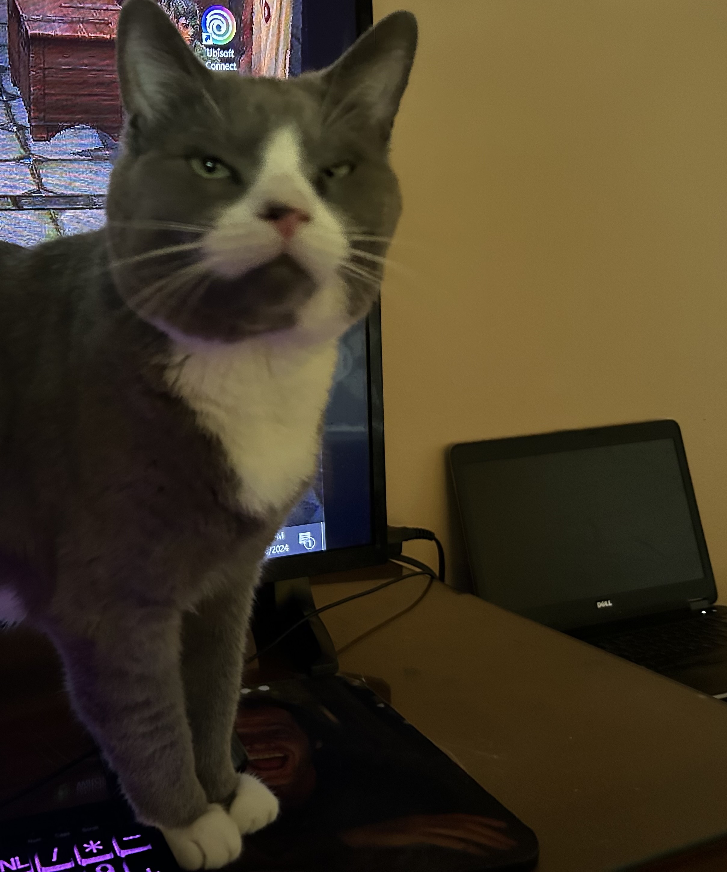 IMG_0165.jpeg