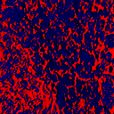 IMG_1557.gif