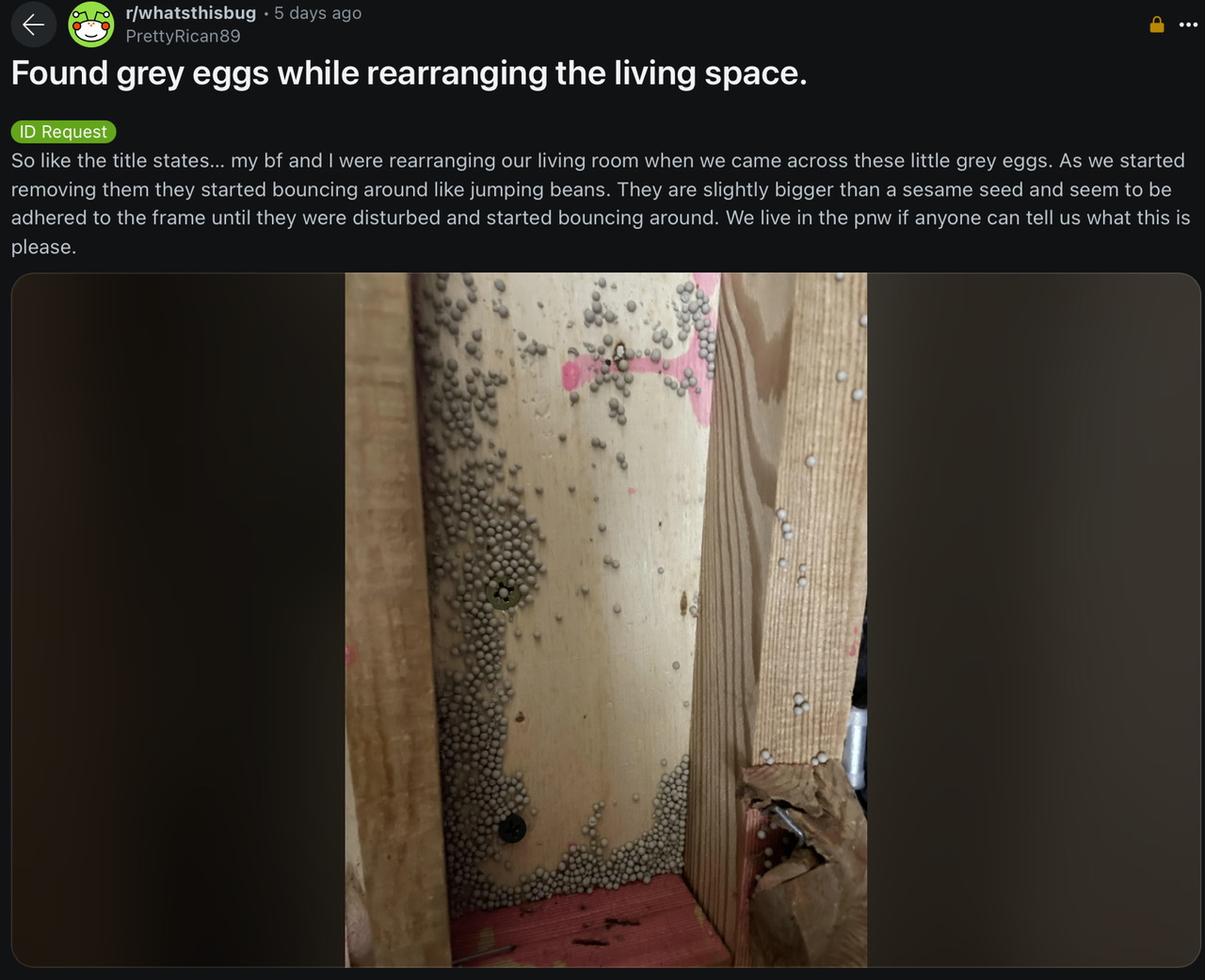 IMG_1728.jpeg