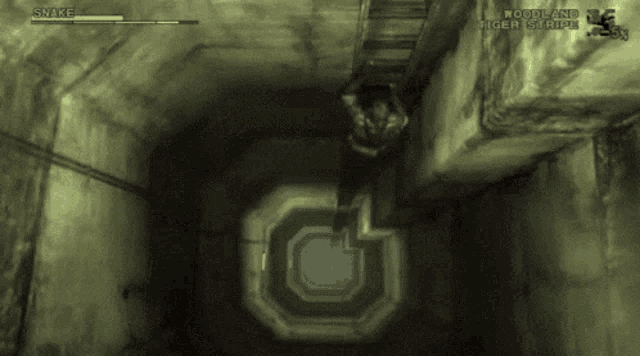 IMG_2410.gif