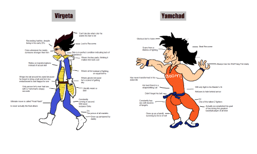 IMG_3378.PNG