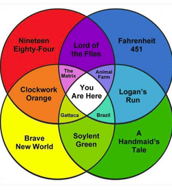 IMG_6194.png
